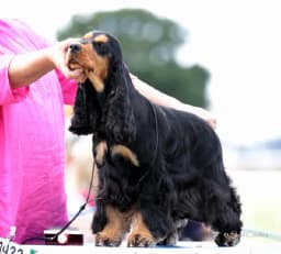 Coco photo 1