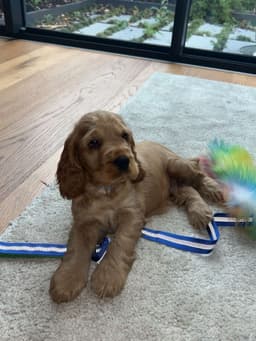 Murphy photo 1