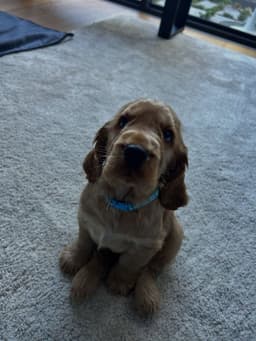 Murphy photo 2