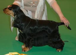 Coco photo 2