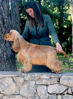 Athena photo 4
